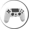 Joystick i Joypad.