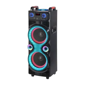 Zvucnik Bluetooth NDR-1100 100W 2*10 inca sa dva mikrofona crni (MS).