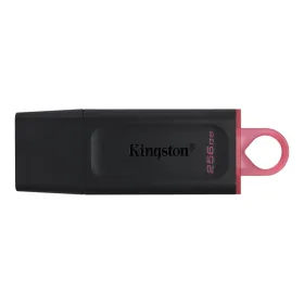 Kingston Data Traveler Exodia Onyx DTX USB flash memorija 256GB 3.2 crna.
