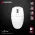 Mis Wireless Gaming Fantech XD7E Aria E Space Edition.