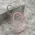 Futrola - maska COLOR RING MagSafe za iPhone 17 (6.3) roze (MS).