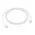 Apple USB Data kabl Type C na Type C 1m (MM093ZM/A).