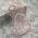 Futrola - maska COLOR RING MagSafe za iPhone AIR (6.6) roze (MS).