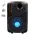 Bluetooth zvucnik TTD-8251 8".