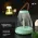 LED Lampa DT001-1 JWD ukrasna zelena.