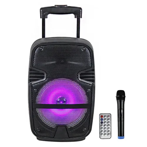 Bluetooth zvucnik NDR-A15 15" 40W.