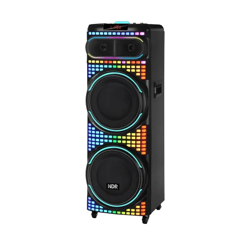 Zvucnik bluetooth NDR-2260 100W 2*12 inca sa dva mikrofona crni (MS).