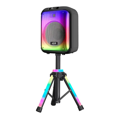 Zvucnik Bluetooth NDR-102B 60W 12 inca sa mikrofonom i stalkom crni (MS).