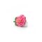 Kapica Slušalice handsfree 3,5 mm cvet roze.