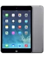 iPad mini 2.